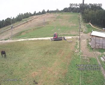 Їжак парк 3 вересня 2019 року, 2019-09-03 13:00