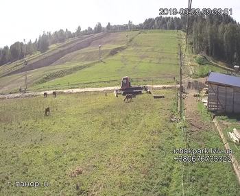 Їжак парк 9 вересня 2019 року, 2019-09-09 10:00