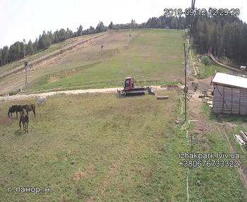 Їжак парк 12 вересня 2019 року, 2019-09-12 13:00