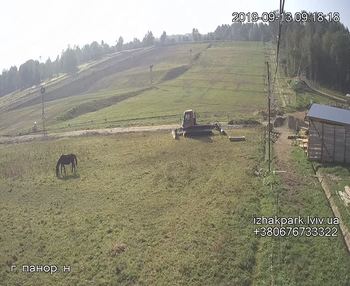 Їжак парк 13 вересня 2019 року, 2019-09-13 10:00