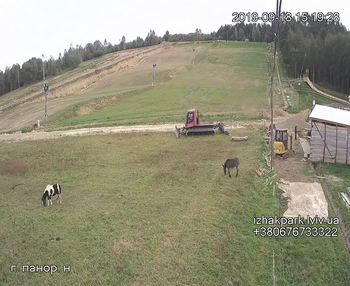 Їжак парк 18 вересня 2019 року, 2019-09-18 16:00