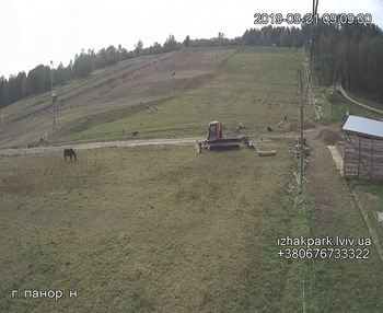 Їжак парк 21 вересня 2019 року, 2019-09-21 10:00