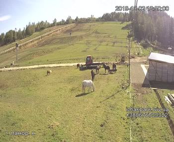Їжак парк 2 жовтня 2019 року, 2019-10-02 13:00