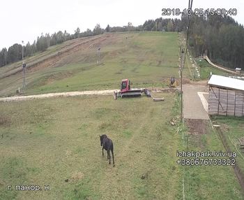 Їжак парк 5 жовтня 2019 року, 2019-10-05 16:00