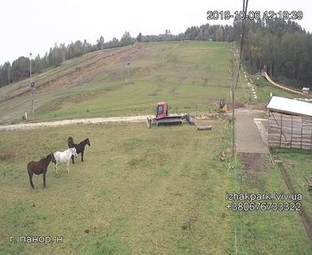 Їжак парк 6 жовтня 2019 року, 2019-10-06 13:00
