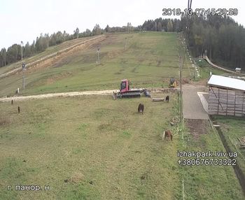 Їжак парк 7 жовтня 2019 року, 2019-10-07 16:00