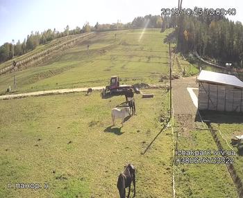 Їжак парк 15 жовтня 2019 року, 2019-10-15 13:00