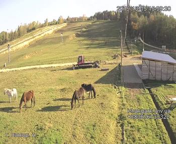 Їжак парк 15 жовтня 2019 року, 2019-10-15 16:00