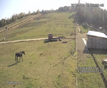 Їжак парк 18 жовтня 2019 року, 2019-10-18 13:00