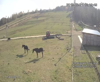Їжак парк 21 жовтня 2019 року, 2019-10-21 13:00