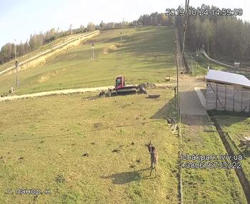 Їжак парк 24 жовтня 2019 року, 2019-10-24 16:00