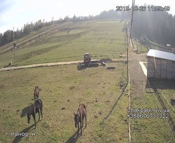 Їжак парк 26 жовтня 2019 року, 2019-10-26 13:00