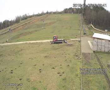 Їжак парк 8 листопада 2019 року, 2019-11-08 13:00