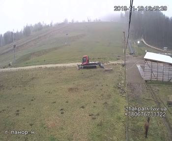 Їжак парк 10 листопада 2019 року, 2019-11-10 16:00