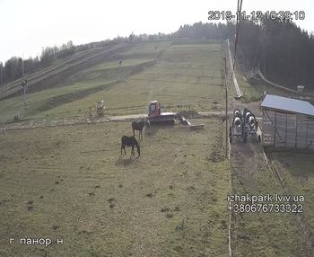 Їжак парк 12 листопада 2019 року, 2019-11-12 10:00