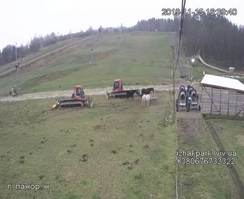 Їжак парк 15 листопада 2019 року, 2019-11-15 16:00