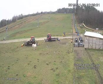 Їжак парк 21 листопада 2019 року, 2019-11-21 10:00
