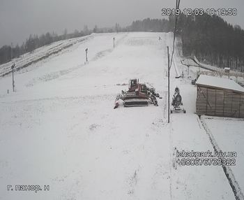 Їжак парк 3 грудня 2019 року, 2019-12-03 10:00