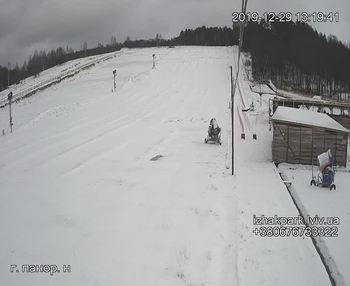 Їжак парк 29 грудня 2019 року, 2019-12-29 13:00