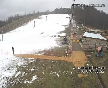 Їжак парк 4 січня 2020 року, 2020-01-04 13:00