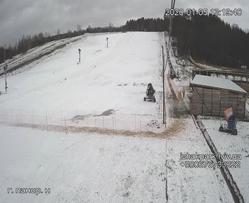 Їжак парк 5 січня 2020 року, 2020-01-05 13:00