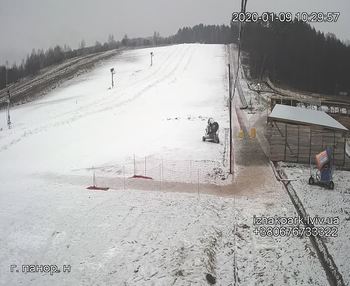Їжак парк 9 січня 2020 року, 2020-01-09 10:00