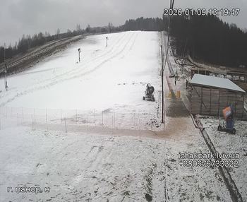 Їжак парк 9 січня 2020 року, 2020-01-09 13:00