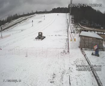 Їжак парк 23 січня 2020 року, 2020-01-23 13:00