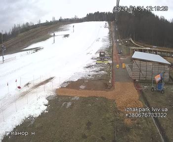 Їжак парк 31 січня 2020 року, 2020-01-31 13:00