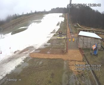 Їжак парк 4 лютого 2020 року, 2020-02-04 13:00