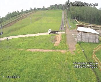 Їжак парк 5 червня 2020 року, 2020-06-05 10:00