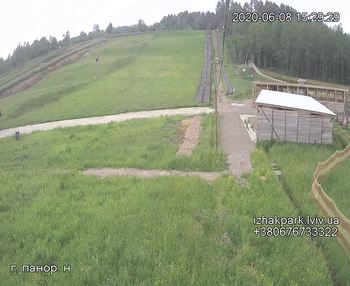 Їжак парк 8 червня 2020 року, 2020-06-08 16:00