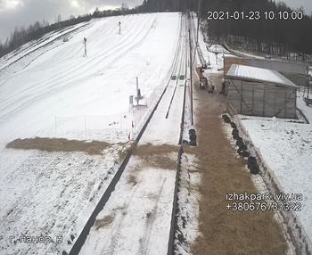 Їжак парк 23 січня 2021 року, 2021-01-23 10:00