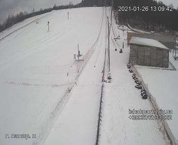 Їжак парк 26 січня 2021 року, 2021-01-26 13:00