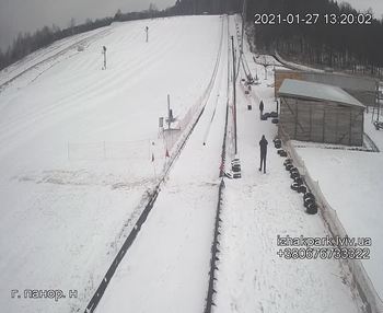 Їжак парк 27 січня 2021 року, 2021-01-27 13:00