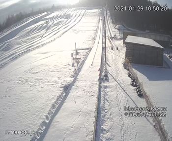 Їжак парк 29 січня 2021 року, 2021-01-29 10:00