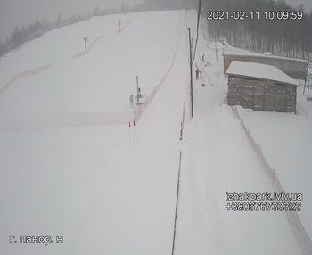Їжак парк 11 лютого 2021 року, 2021-02-11 10:00
