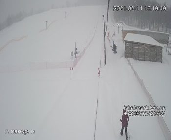 Їжак парк 11 лютого 2021 року, 2021-02-11 16:00