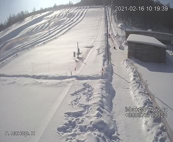 Їжак парк 16 лютого 2021 року, 2021-02-16 10:00