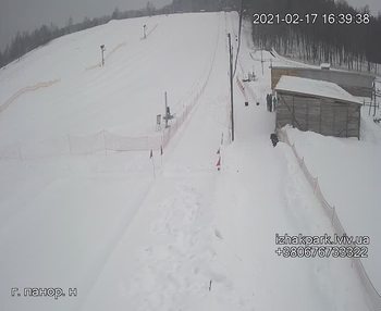 Їжак парк 17 лютого 2021 року, 2021-02-17 16:00