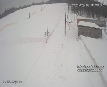 Їжак парк 18 лютого 2021 року, 2021-02-18 10:00