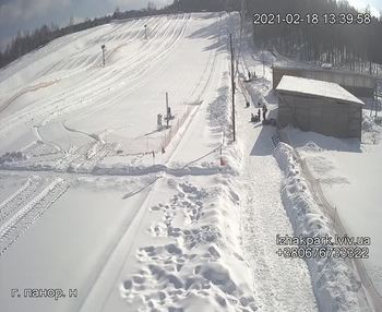 Їжак парк 18 лютого 2021 року, 2021-02-18 13:00