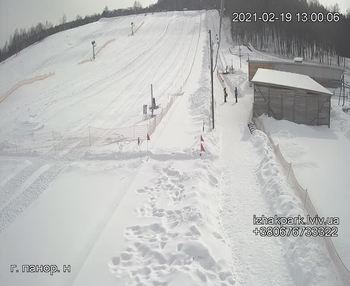 Їжак парк 19 лютого 2021 року, 2021-02-19 13:00
