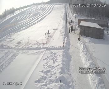 Їжак парк 21 лютого 2021 року, 2021-02-21 10:00