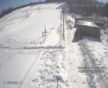 Їжак парк 22 лютого 2021 року, 2021-02-22 13:00