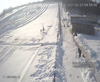 Їжак парк 23 лютого 2021 року, 2021-02-23 10:00