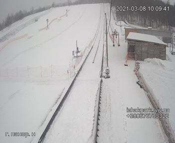Їжак парк 8 березня 2021 року, 2021-03-08 10:00