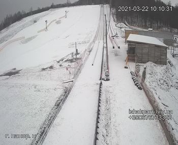 Їжак парк 22 березня 2021 року, 2021-03-22 10:00