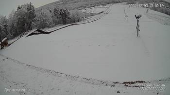 Їжак парк 3 грудня 2021 року, 2021-12-03 13:00