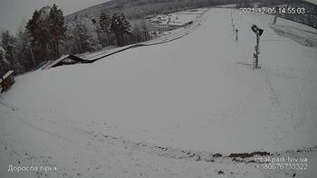 Їжак парк 5 грудня 2021 року, 2021-12-05 13:00